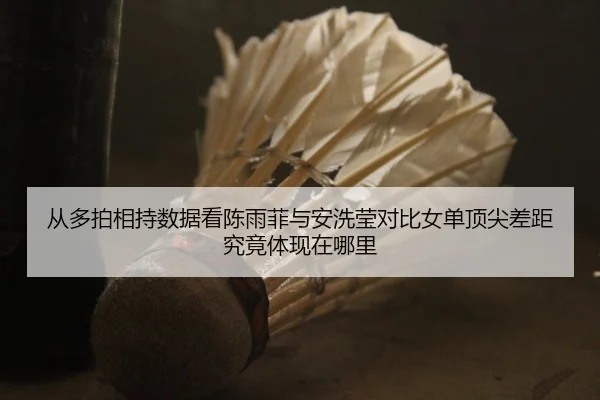 从多拍相持数据看陈雨菲与安洗莹对比女单顶尖差距究竟体现在哪里
